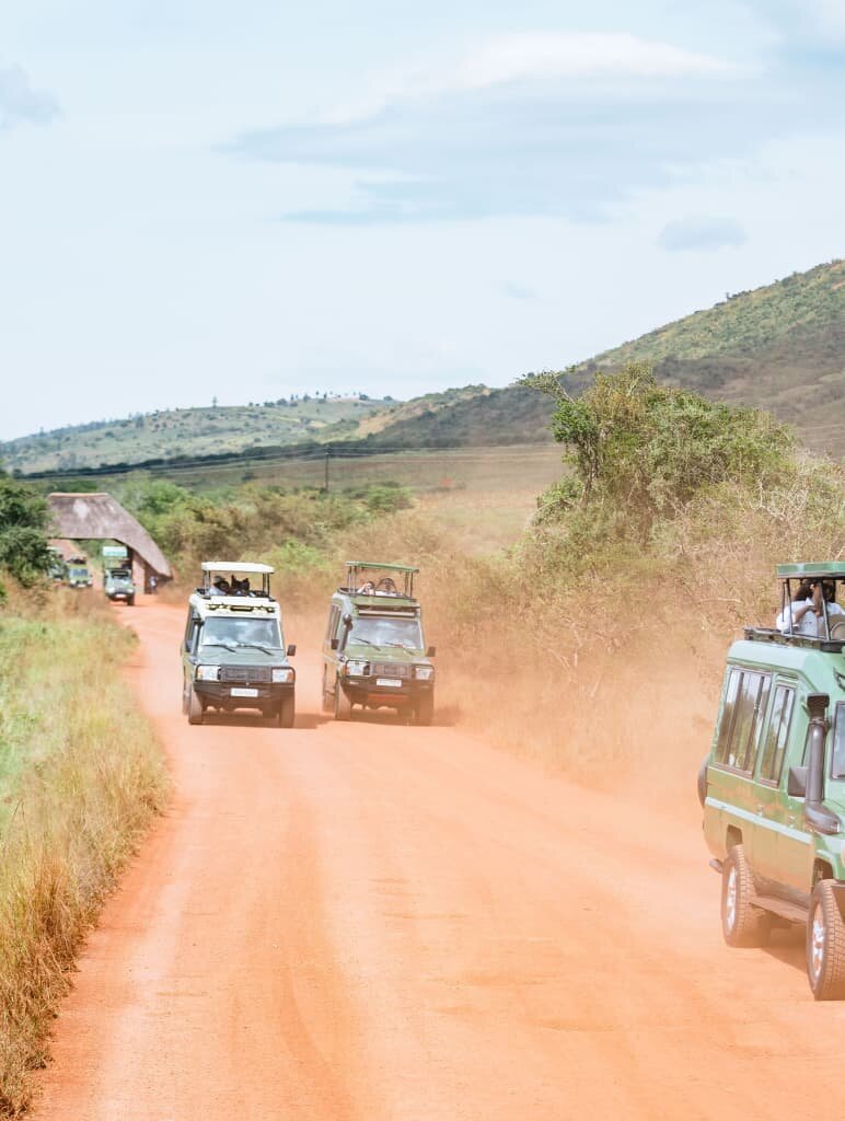 1-Day Akagera National Park Game Drive Rwanda — Rwanda safari tour