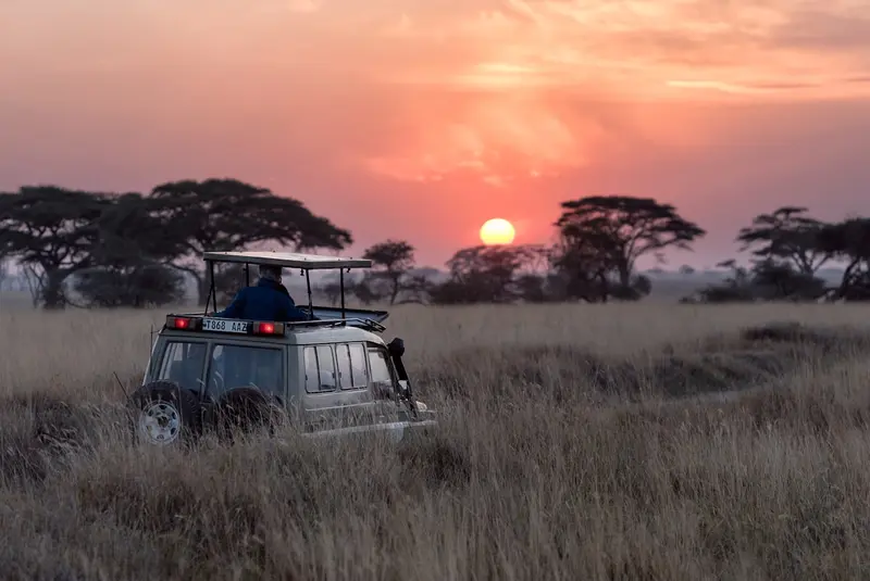 Gorilla Trekking Day Trip from Kigali — Rwanda safari tour
