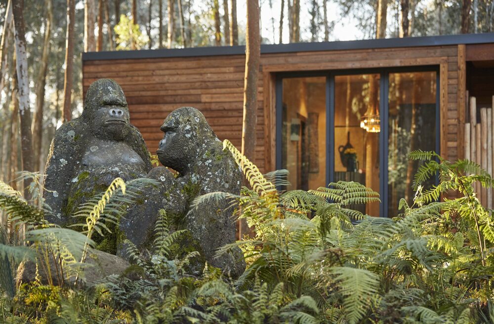 One&Only Gorilla's Nest, Volcanoes National Park