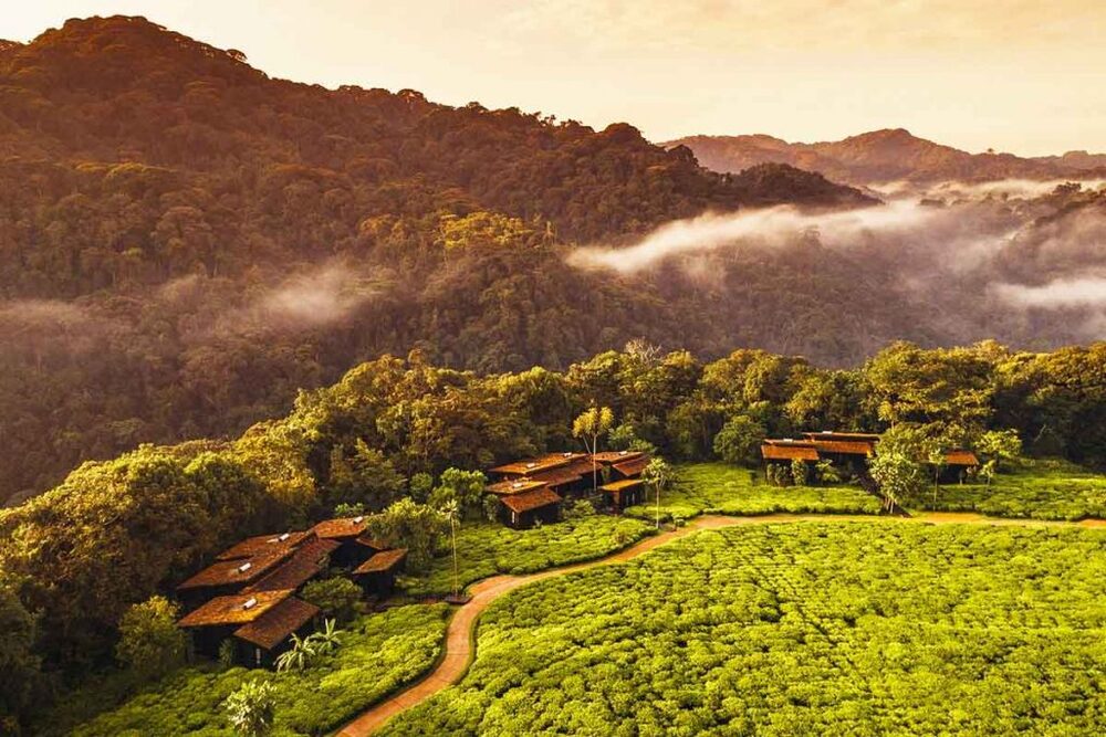 One&Only Nyungwe House, Nyungwe
